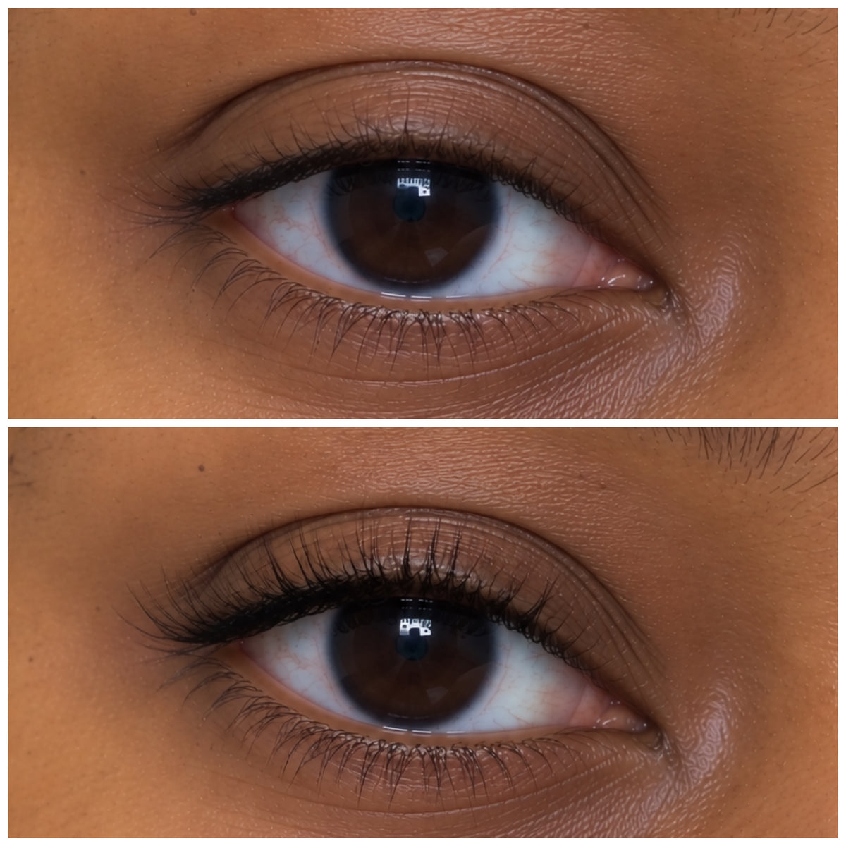 Eyelash/Eyebrow Growth Potion